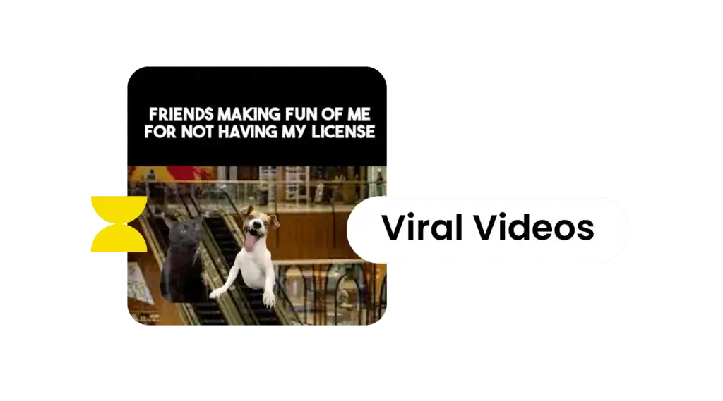 Restaurant viral social media marketing video